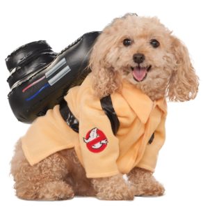 dog-costume