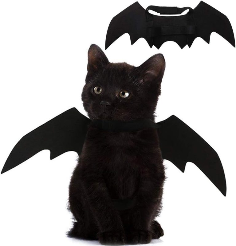 Cat Bat Wings Halloween Costume