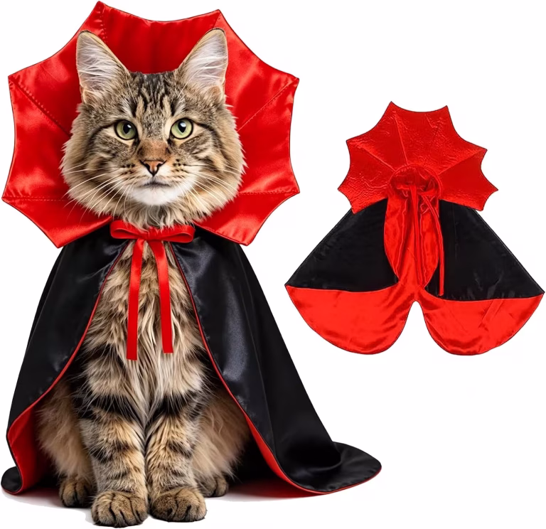 Cat Halloween Costume