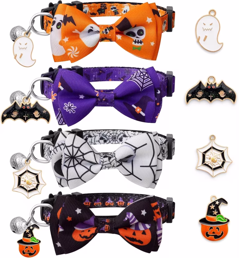 Halloween Cat Collar Set