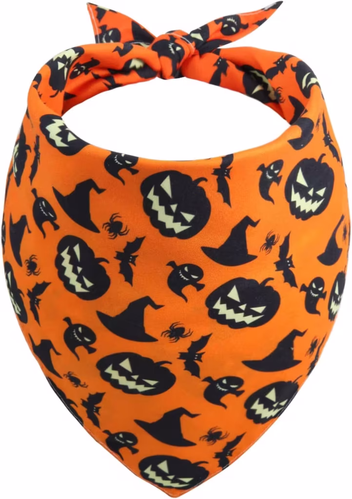 Gofshy Halloween dog bandana with pumpkins and bats