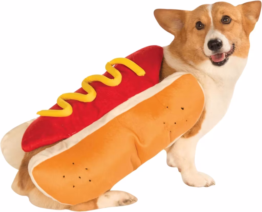 Rubies hot dog Halloween costume for dogs