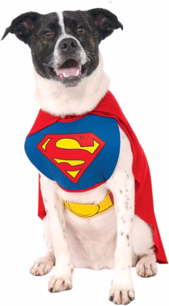 Rubies Superman dog Halloween costume